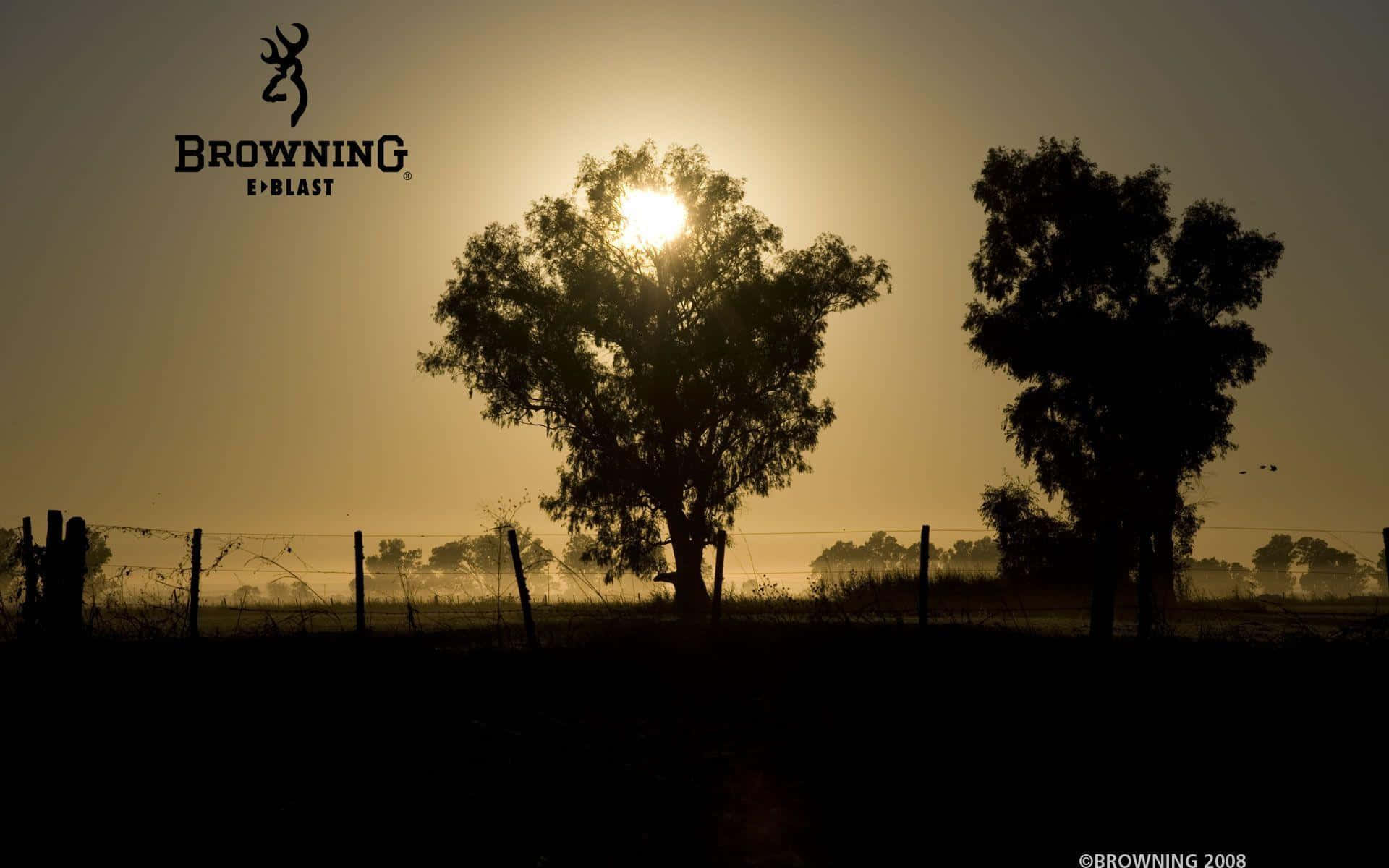 Browning Desktop, sunset, trees, Full HD Desktop Wallpaper