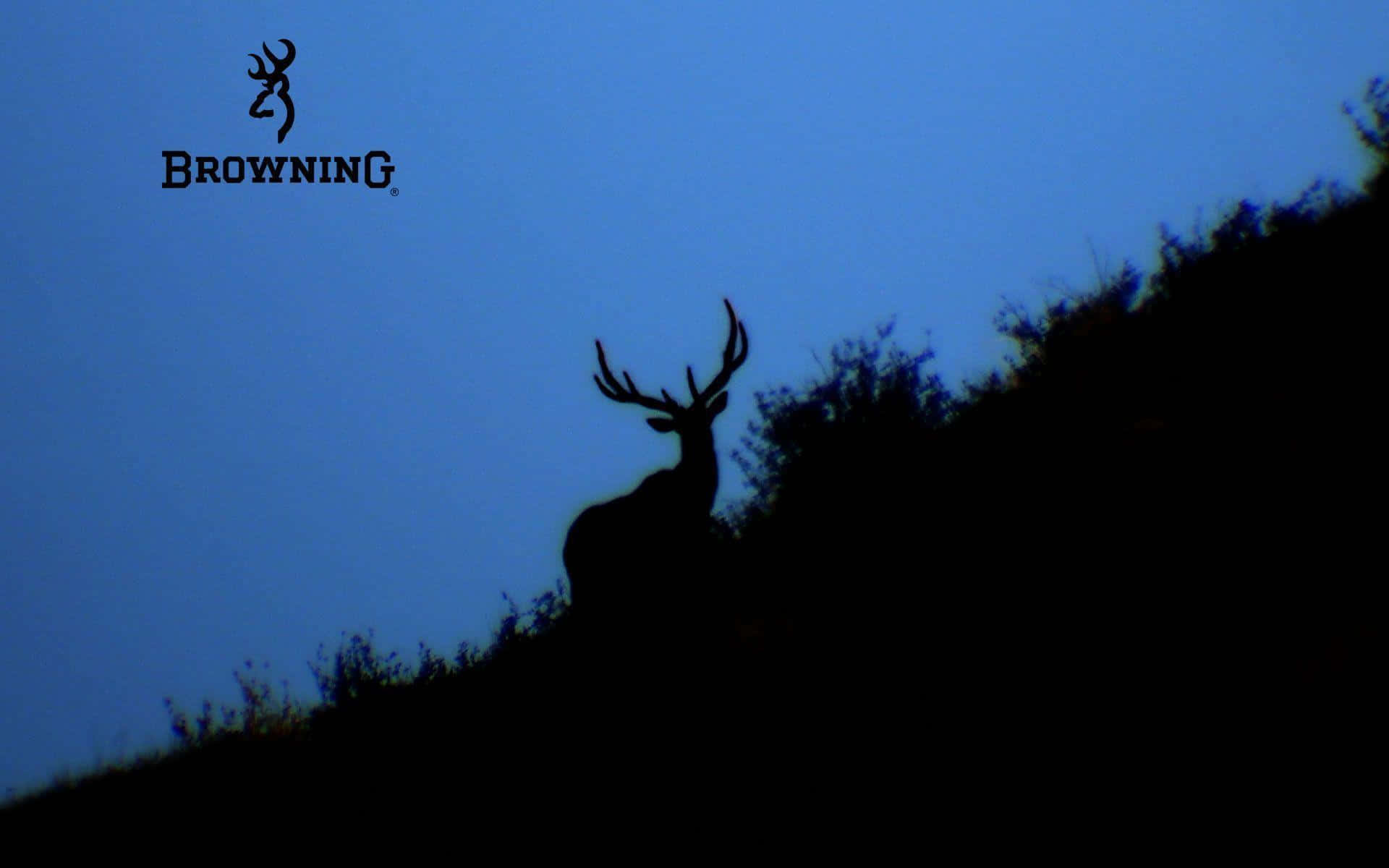 Browning Desktop, deer, antlers, Full HD Desktop Wallpaper