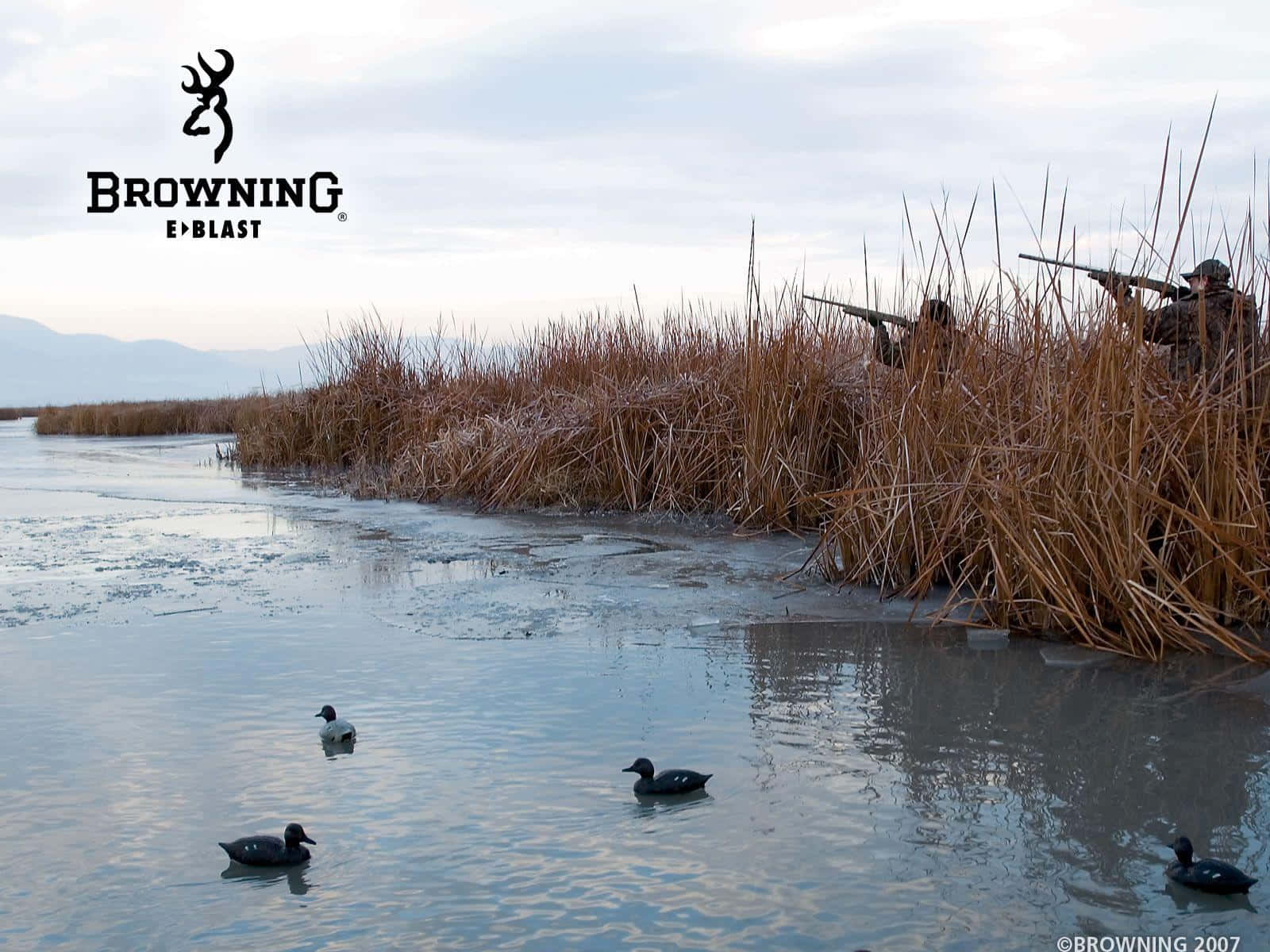 Browning Desktop, camouflage, tall brown reeds, HD Desktop Wallpaper