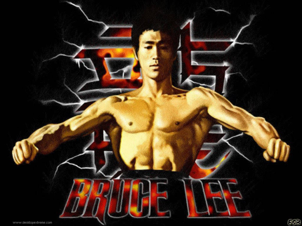Bruce Lee, martial arts stance, dark background, SD Desktop Wallpaper