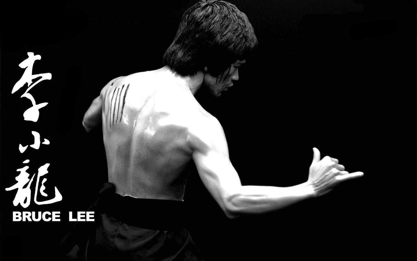 Bruce Lee, black and white, martial arts pose, HD Desktop Wallpaper