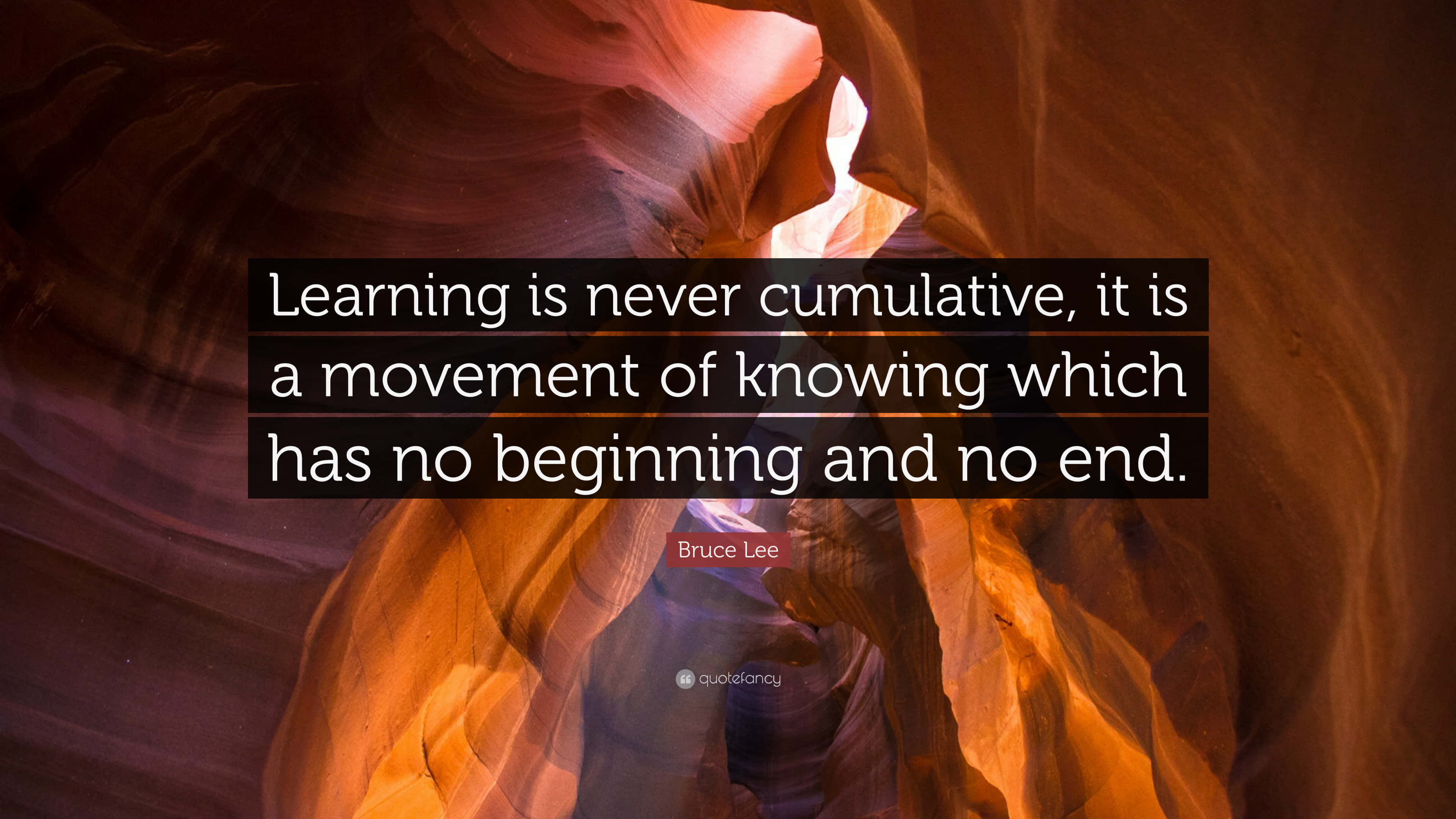 Bruce Lee, canyon, orange rock formations, 4K Desktop Wallpaper