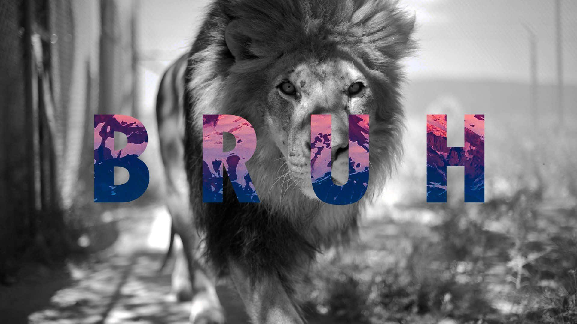 Bruh, lion, colorful letters, Full HD Desktop Wallpaper