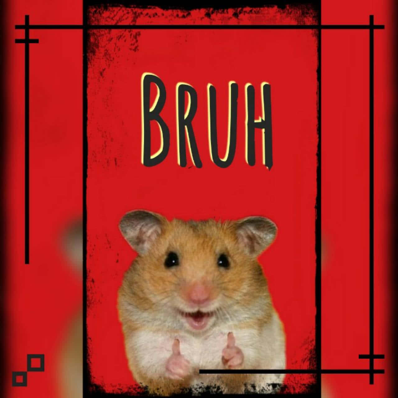 Bruh, brown hamster, open mouth, HD Desktop Wallpaper