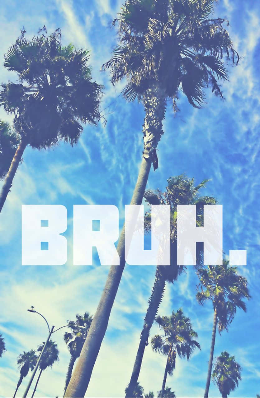 Bruh, palm trees, vibrant blue sky, HD Phone Wallpaper