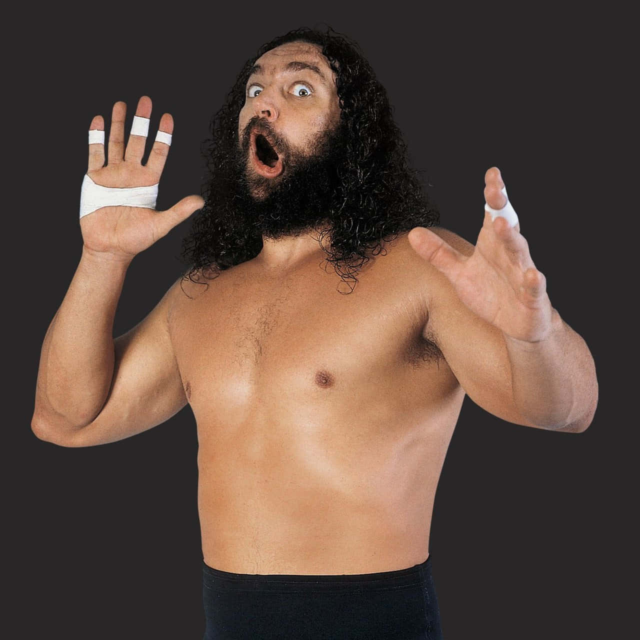 Bruiser Brody, WWE Wrestler, bandaged hands, HD Desktop Wallpaper