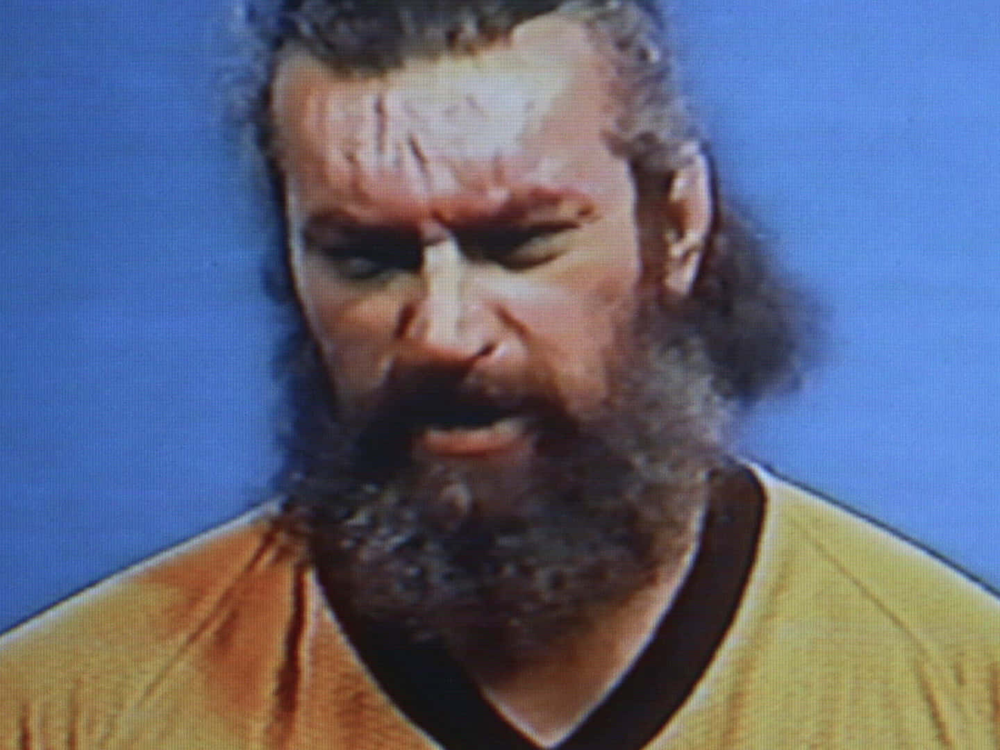 Bruiser Brody, yellow shirt, solid blue background, HD Desktop Wallpaper