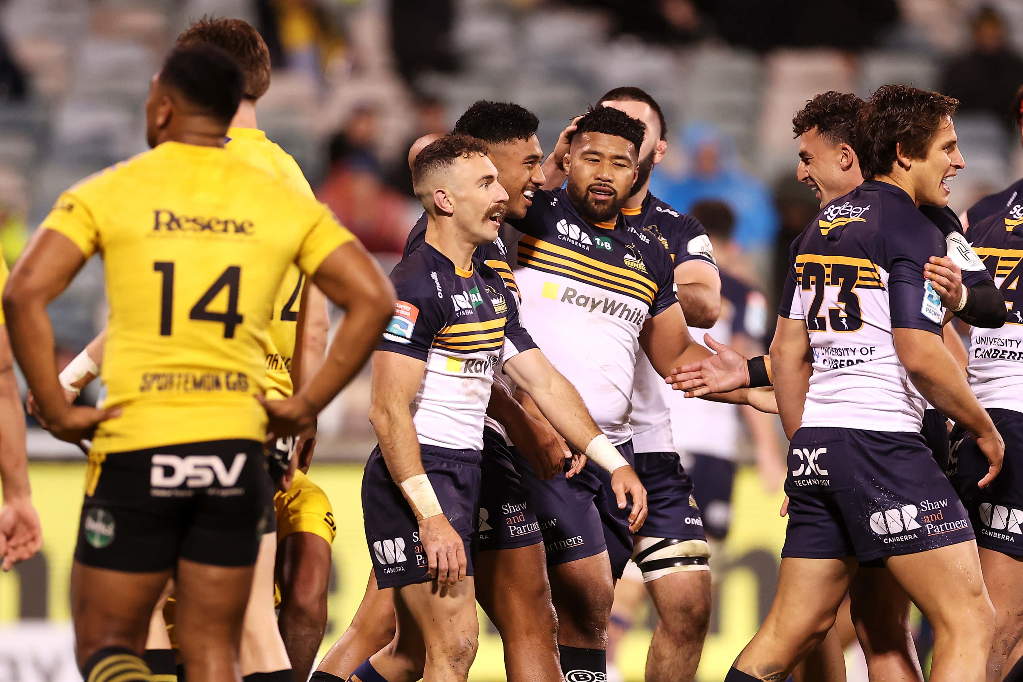 Brumbies, navy and yellow jerseys, stadium lights, 2K Desktop Wallpaper