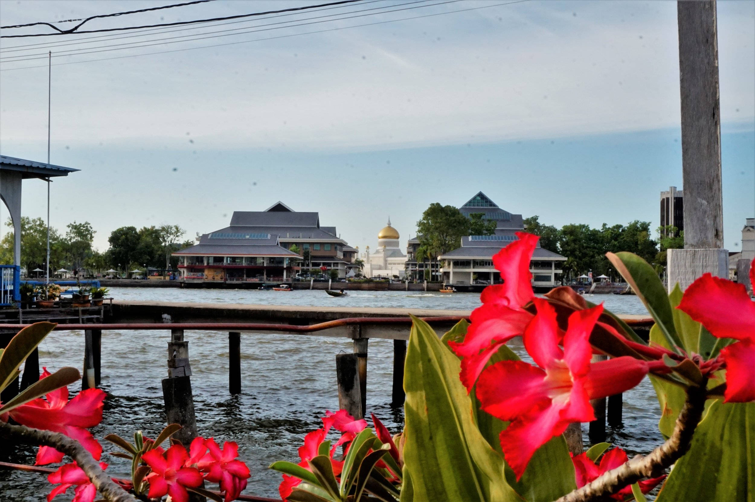 Brunei, Desert Rose, waterfront view, Full HD Desktop Wallpaper