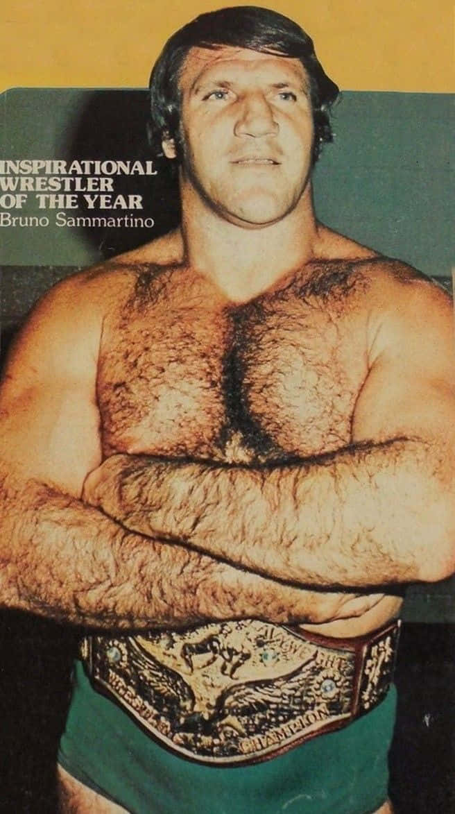 Bruno Sammartino, championship belt, green trunks, SD Phone Wallpaper