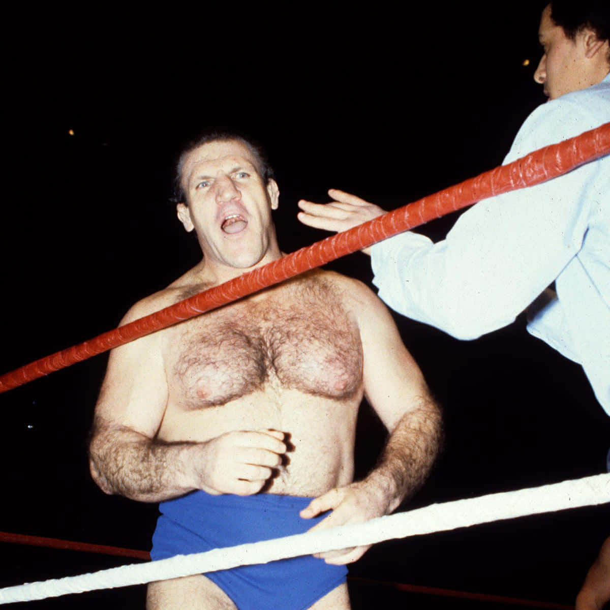 Bruno Sammartino, wrestling ring, blue trunks, SD Desktop Wallpaper
