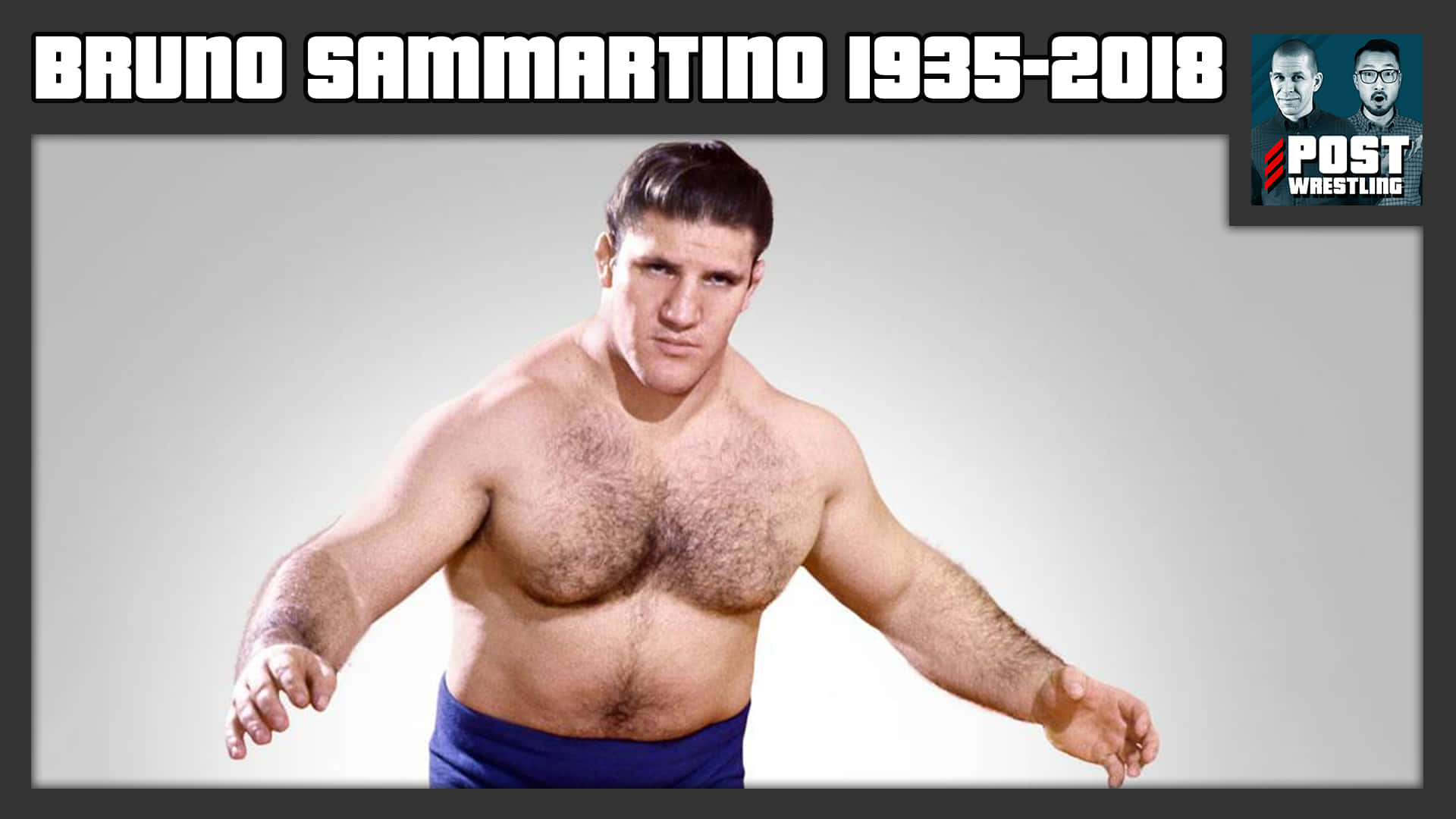 Bruno Sammartino, blue trunks, classic wrestling pose, Full HD Desktop Wallpaper