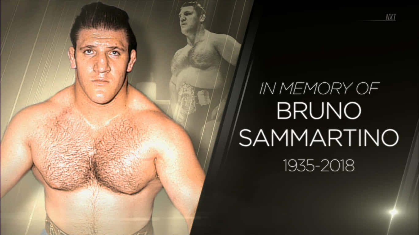 Bruno Sammartino, faded background, memorial text, HD Desktop Wallpaper