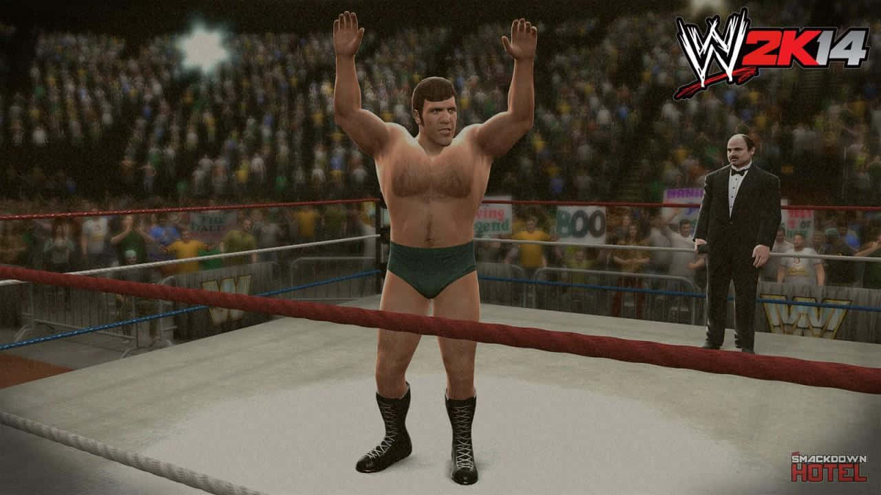 Bruno Sammartino, video game avatar, green trunks, HD Desktop Wallpaper