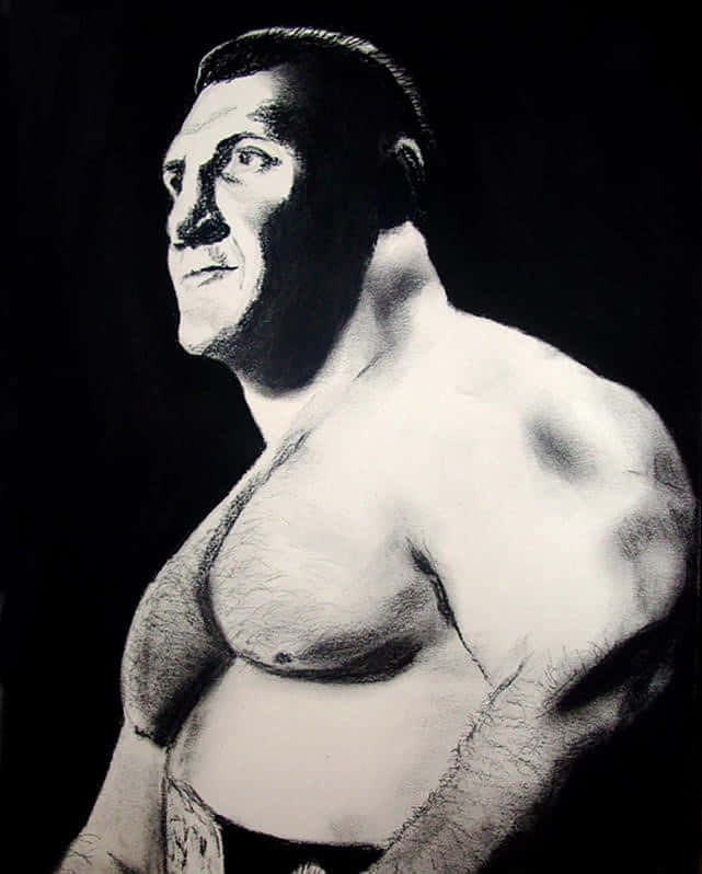 Bruno Sammartino, charcoal portrait, muscular man, SD Phone Wallpaper