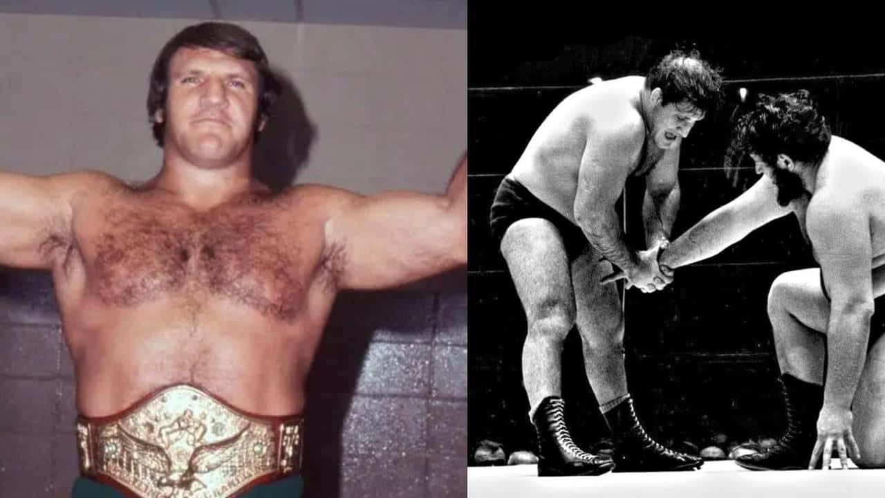 Bruno Sammartino, championship belt, wrestlers, HD Desktop Wallpaper
