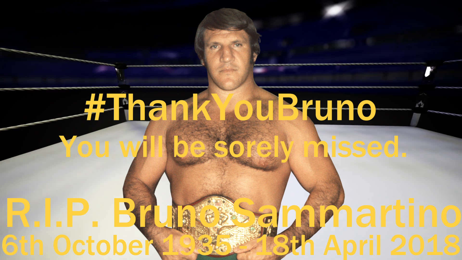 Bruno Sammartino, wrestling ring, championship belt, Full HD Desktop Wallpaper