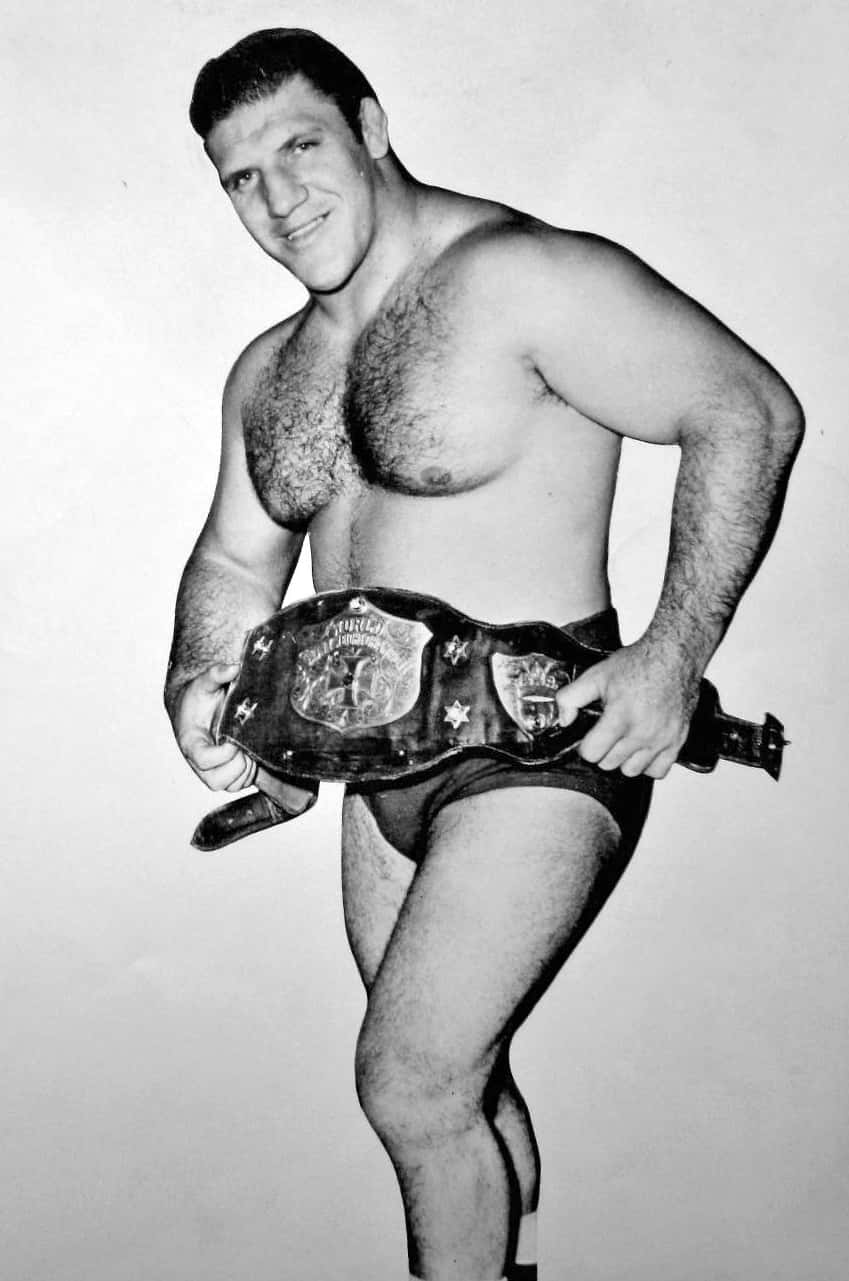 Bruno Sammartino, championship belt, trunks, HD Phone Wallpaper