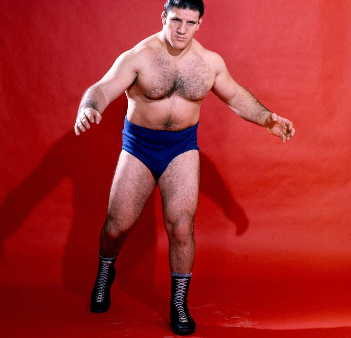 Bruno Sammartino, blue trunks, black boots, SD Desktop Wallpaper
