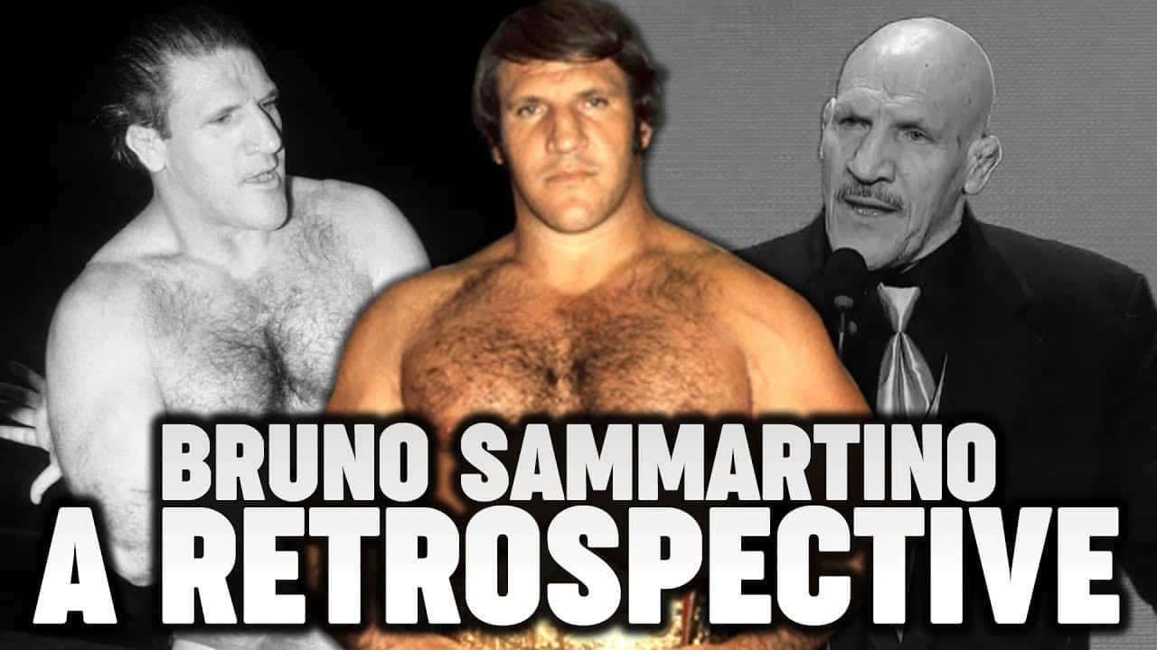 Bruno Sammartino, A Retrospective, wrestling poses, HD Desktop Wallpaper
