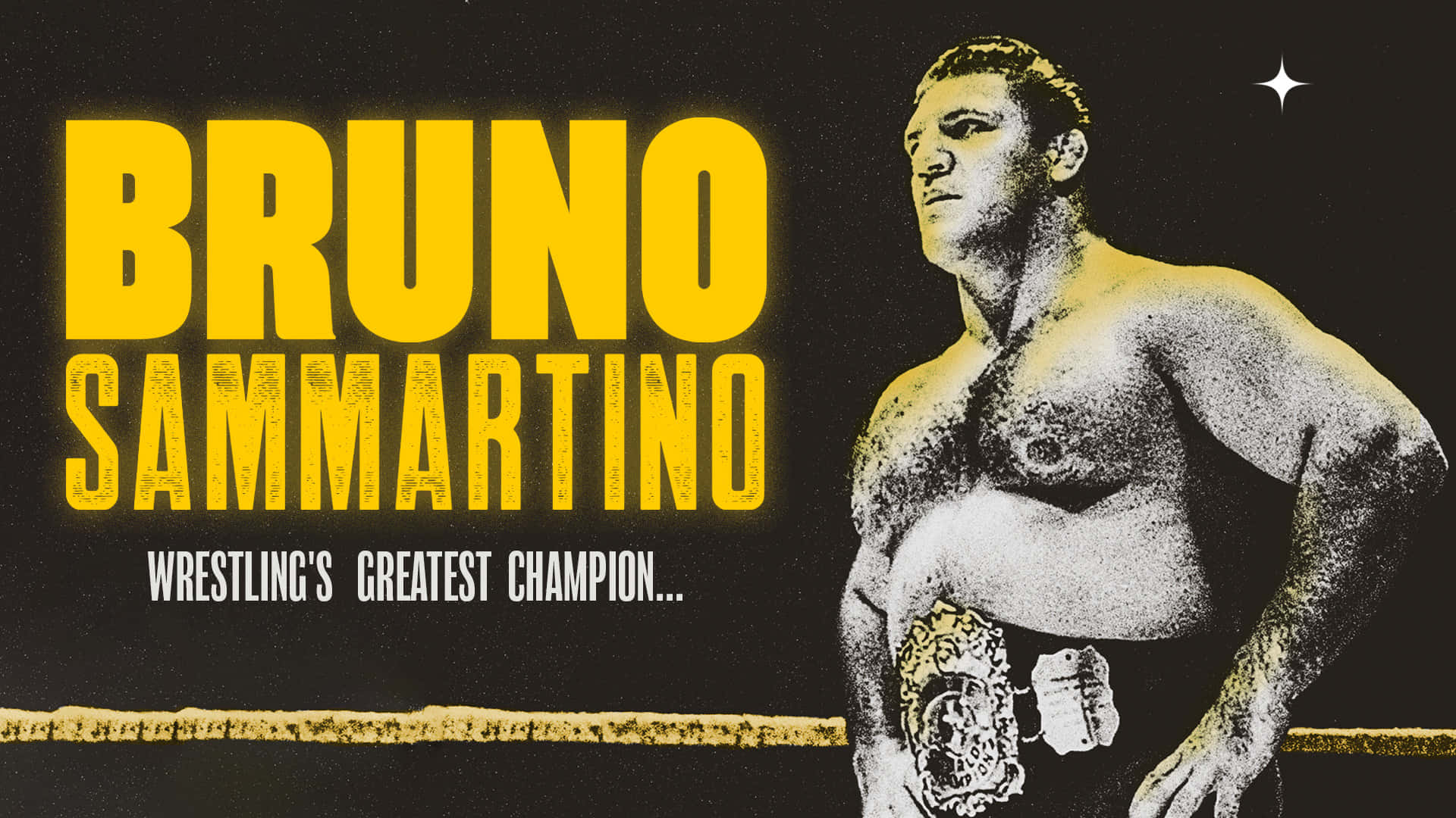 Bruno Sammartino, wrestling ring, championship belt, Full HD Desktop Wallpaper
