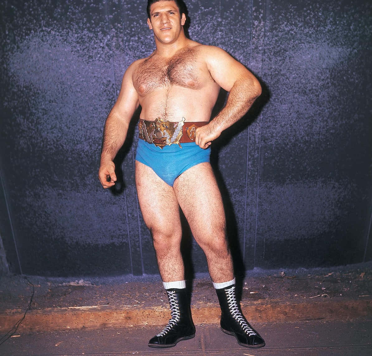 Bruno Sammartino, championship belt, blue trunks, SD Desktop Wallpaper