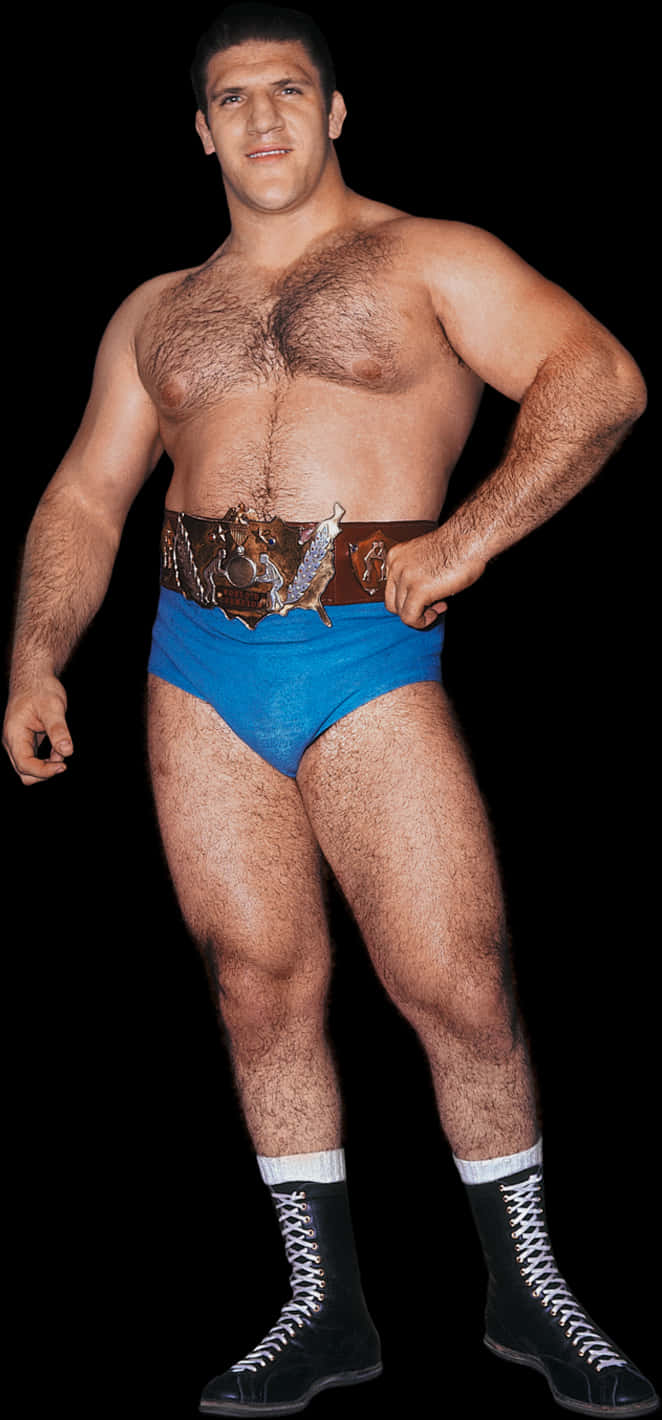 Bruno Sammartino, blue trunks, championship belt, HD Phone Wallpaper