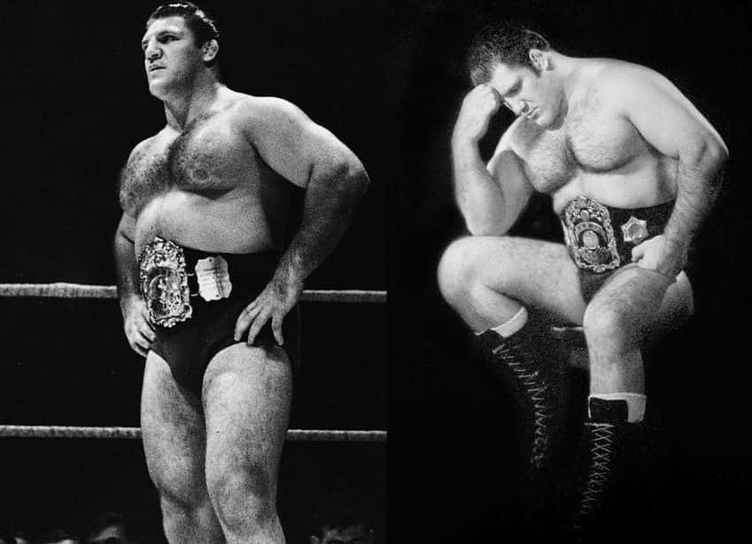 Bruno Sammartino, heavyweight wrestler, championship belt, SD Desktop Wallpaper