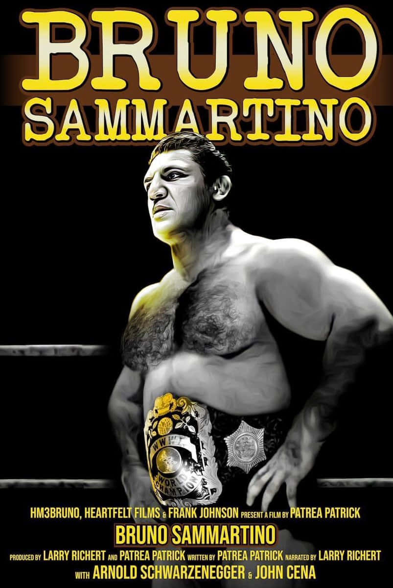 Bruno Sammartino, boxing ring, championship belt, SD Phone Wallpaper