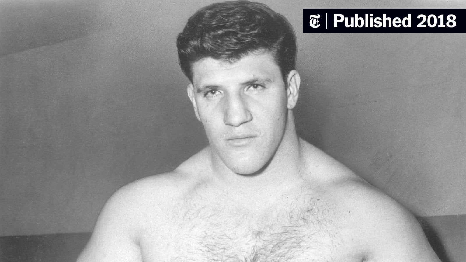 Bruno Sammartino, vintage, grayscale, HD Desktop Wallpaper