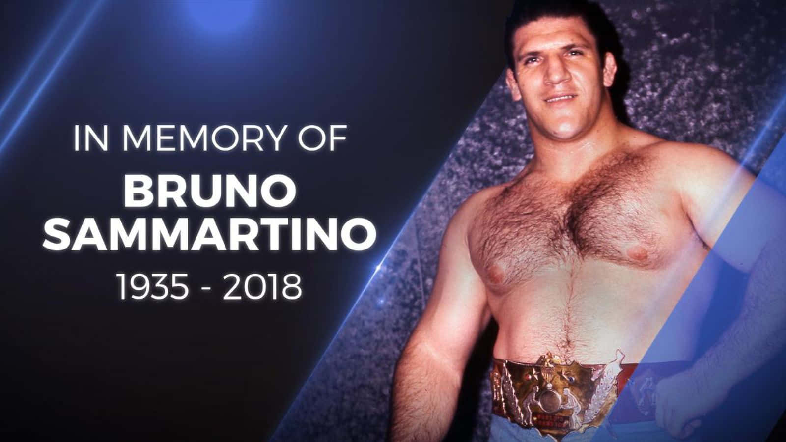 Bruno Sammartino, championship belt, dark blue, HD Desktop Wallpaper