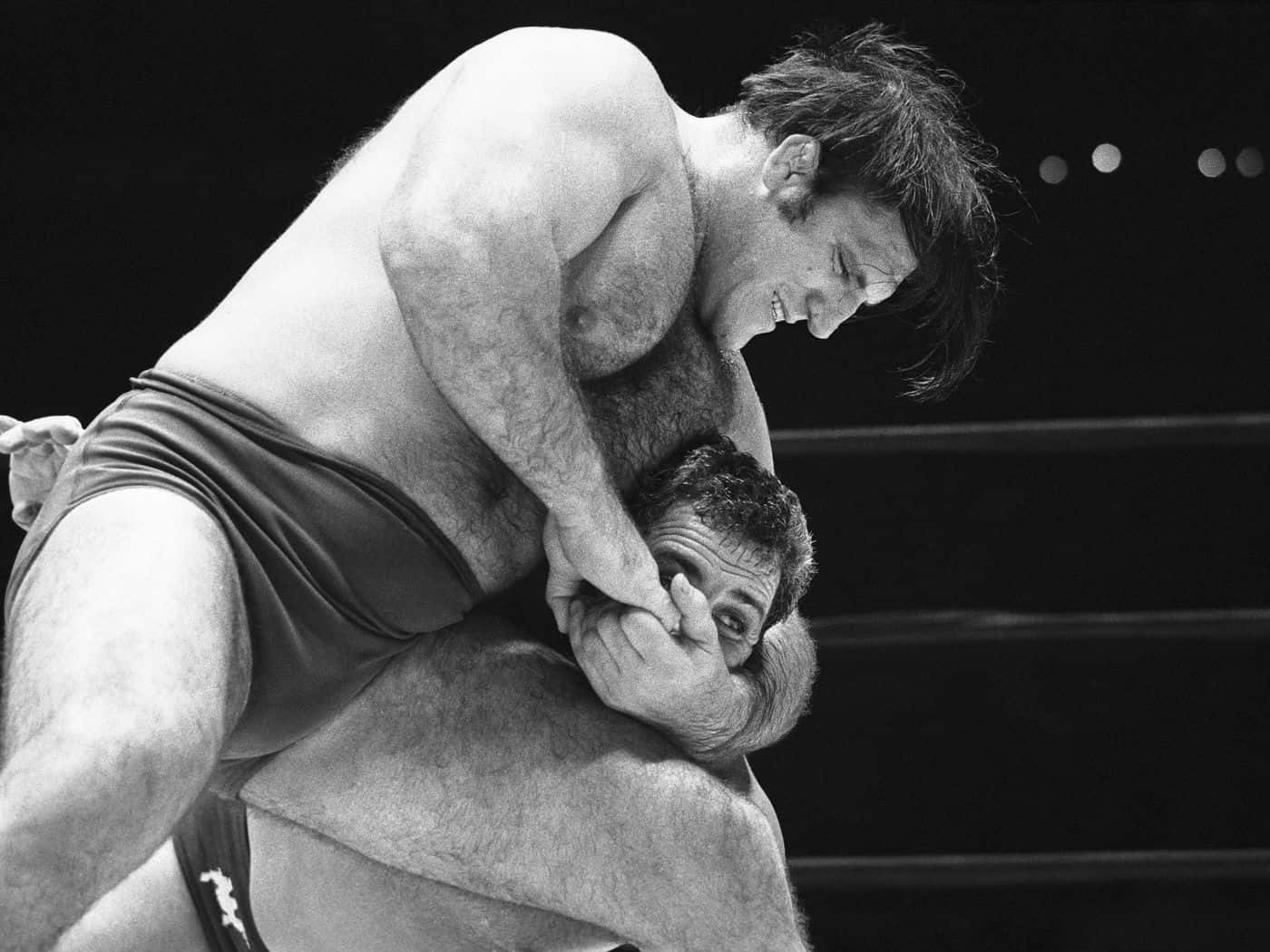 Bruno Sammartino, wrestling match, ring, HD Desktop Wallpaper