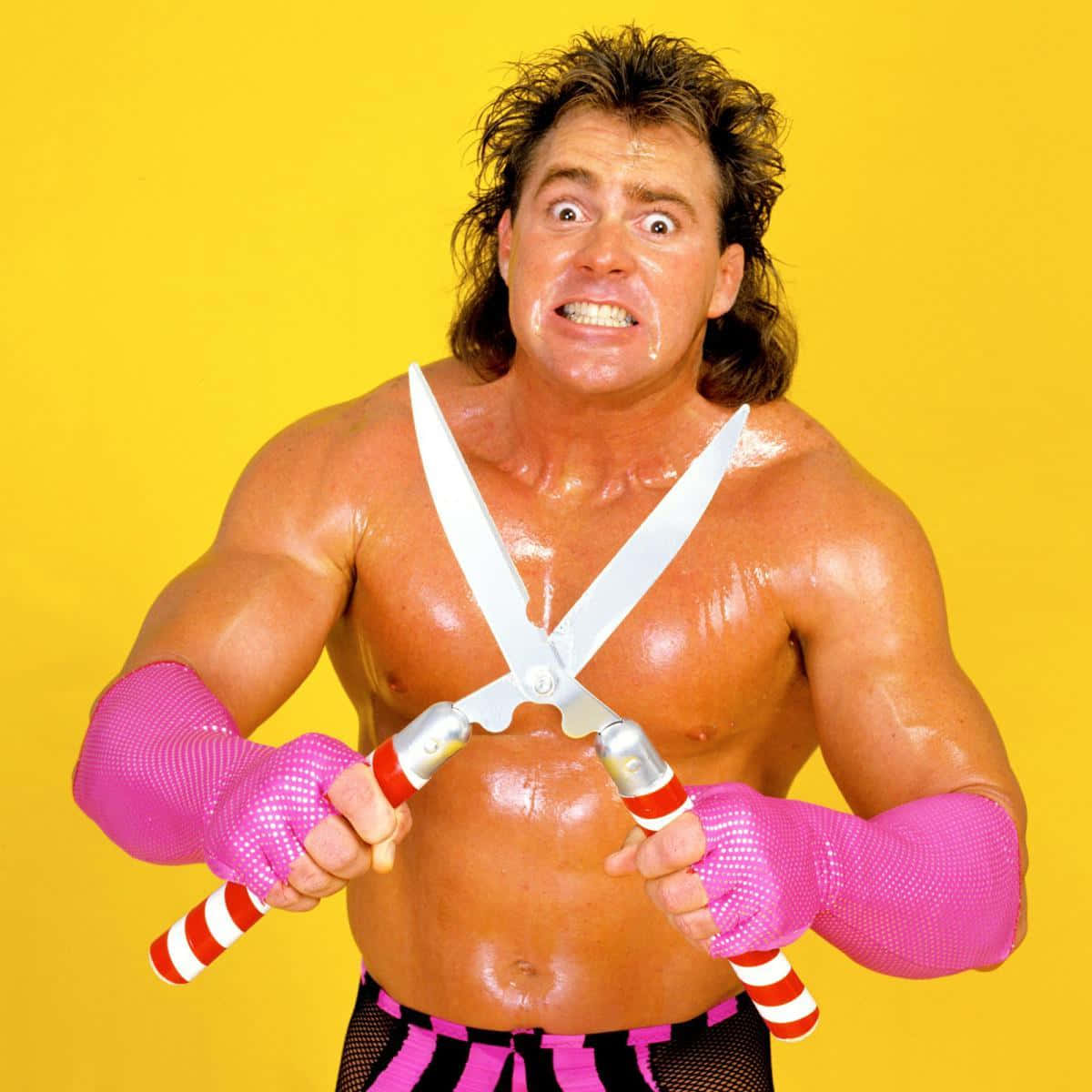 Brutus Beefcake, wrestler, wild hair, SD Desktop Wallpaper