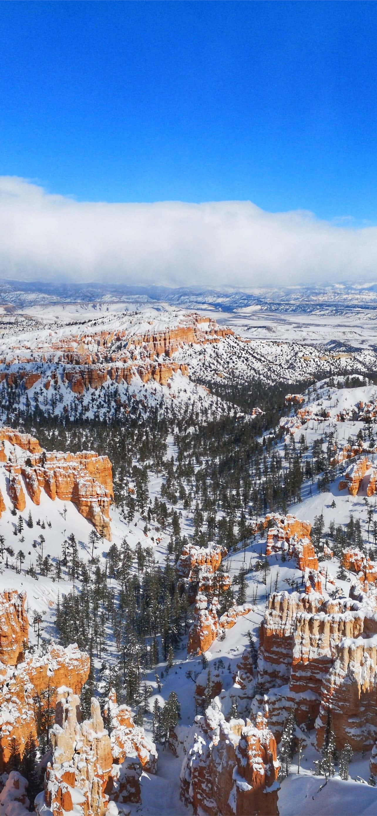 Bryce Canyon National Park, deep snow, orange hoodoos, 2K Phone Wallpaper