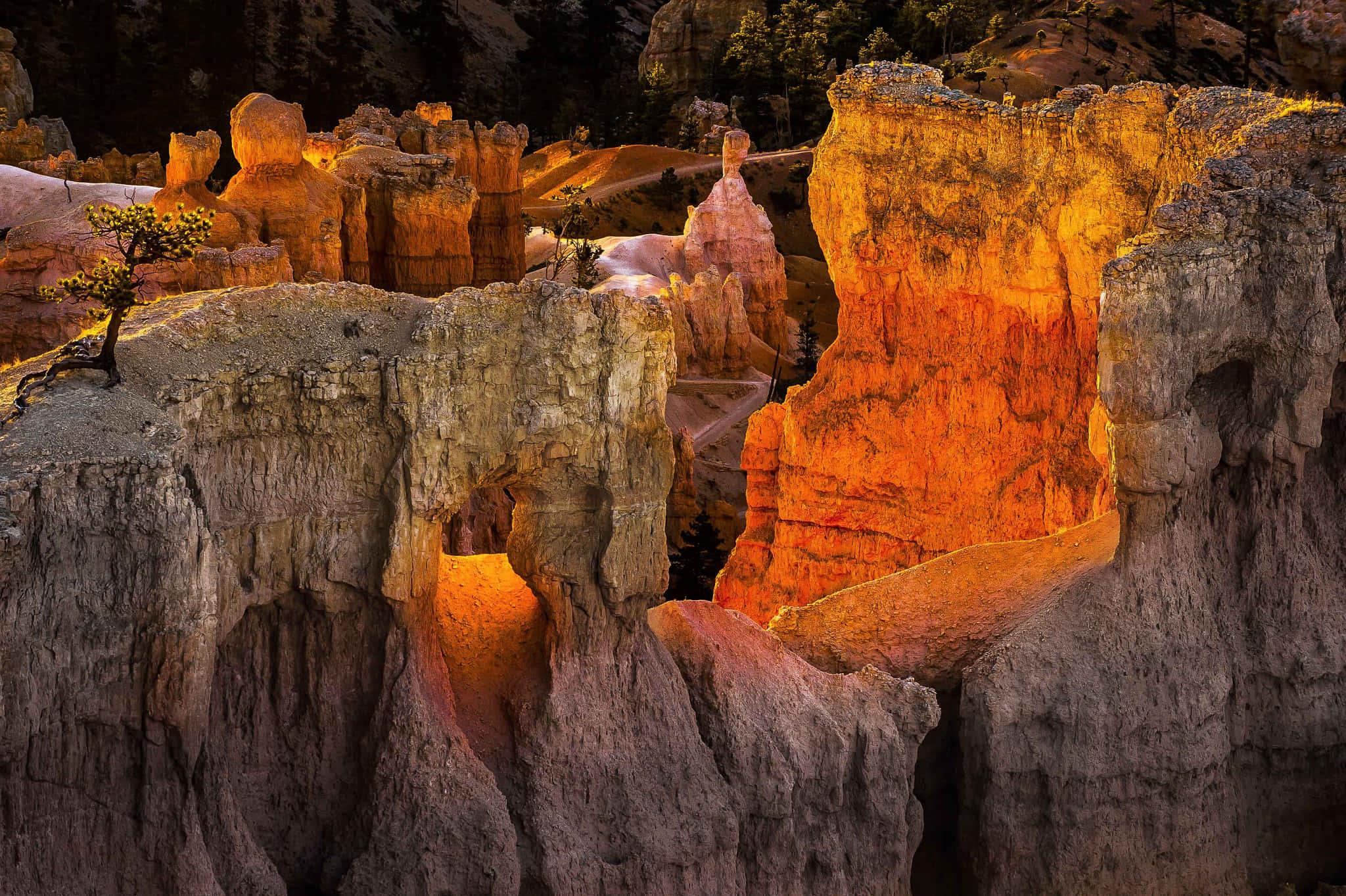 Bryce Canyon National Park, hoodoos, sunset, Full HD Desktop Wallpaper
