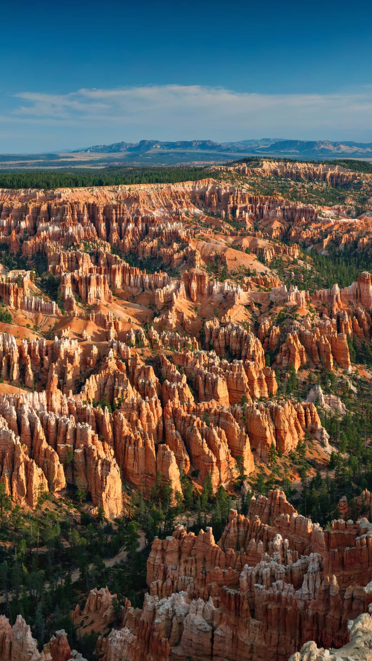 Bryce Canyon National Park, orange hoodoos, golden sunlight, 2K Phone Wallpaper