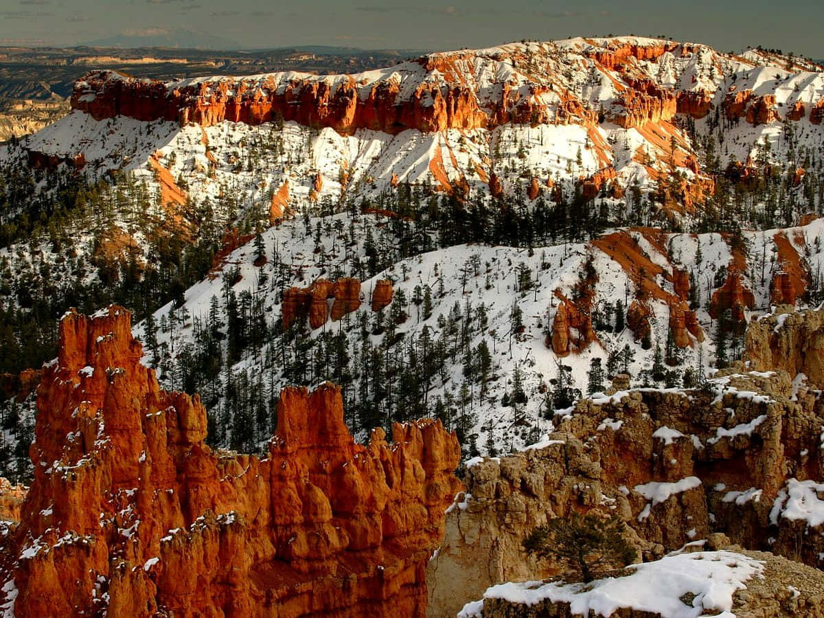 Bryce Canyon National Park, orange hoodoos, pine forests, SD Desktop Wallpaper