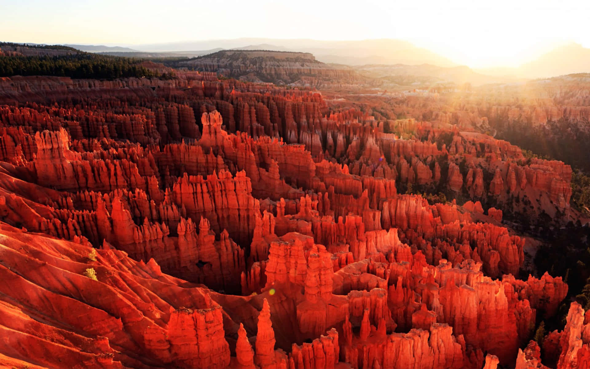 Bryce Canyon National Park, crimson glow, towering red hoodoos, Full HD Desktop Wallpaper