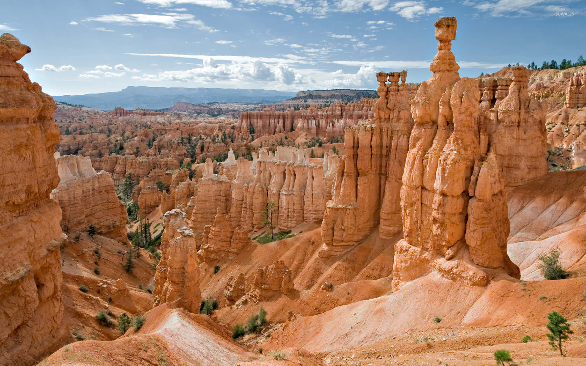 Bryce Canyon National Park, steep slope, orange hoodoos, Full HD Desktop Wallpaper