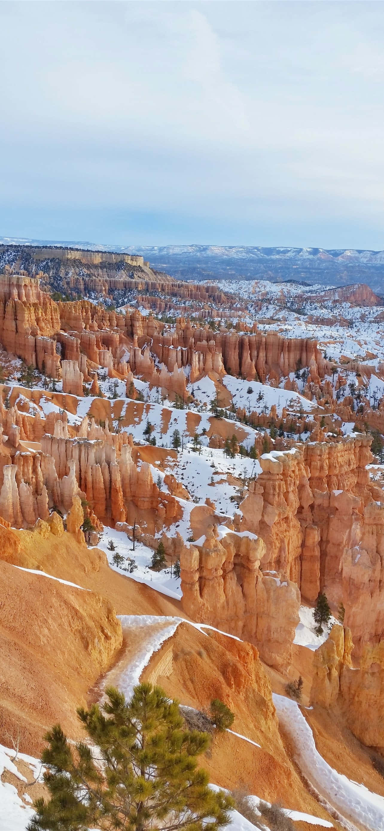 Bryce Canyon National Park, snow shower, orange hoodoos, 2K Phone Wallpaper