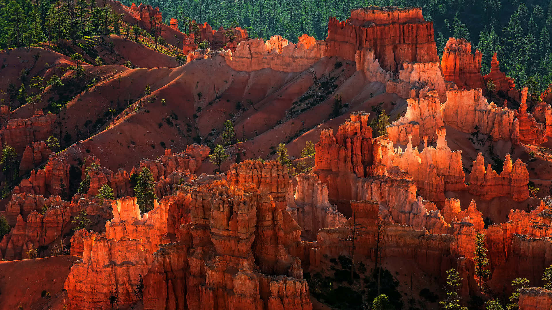 Bryce Canyon National Park, orange hoodoos, canyon landscape, Full HD Desktop Wallpaper
