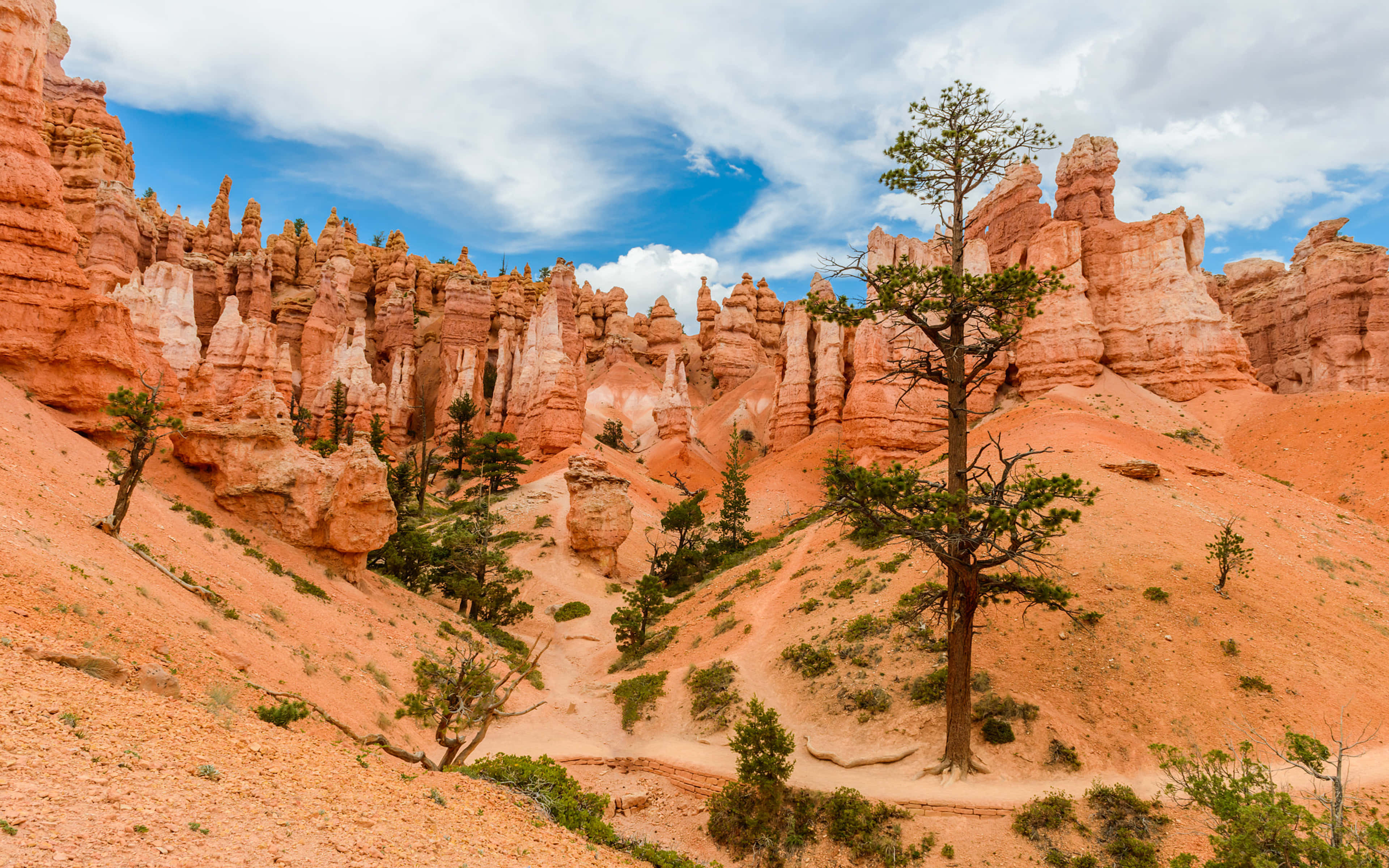 Bryce Canyon National Park, orange hoodoos, towering spire like rock formations, 4K Desktop Wallpaper