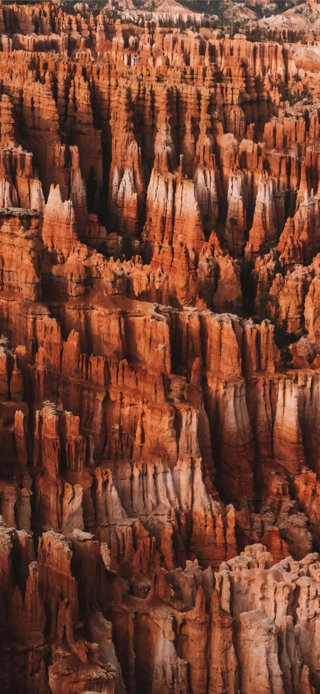 Bryce Canyon National Park, crimson spire rock formations, orange and white hoodoos, Full HD Phone Wallpaper
