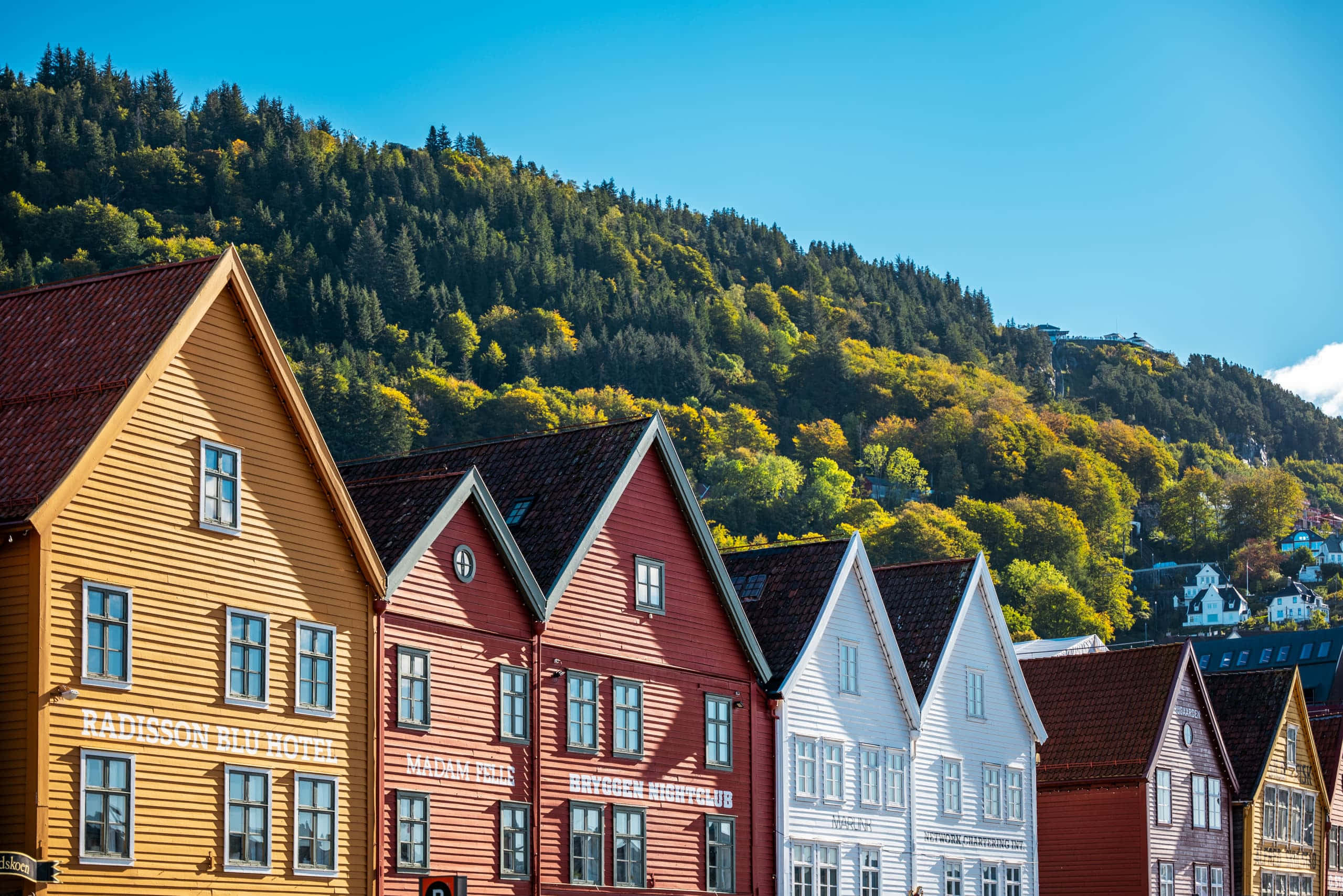 Bryggen, historic Norwegian buildings, wooden houses, 2K Desktop Wallpaper