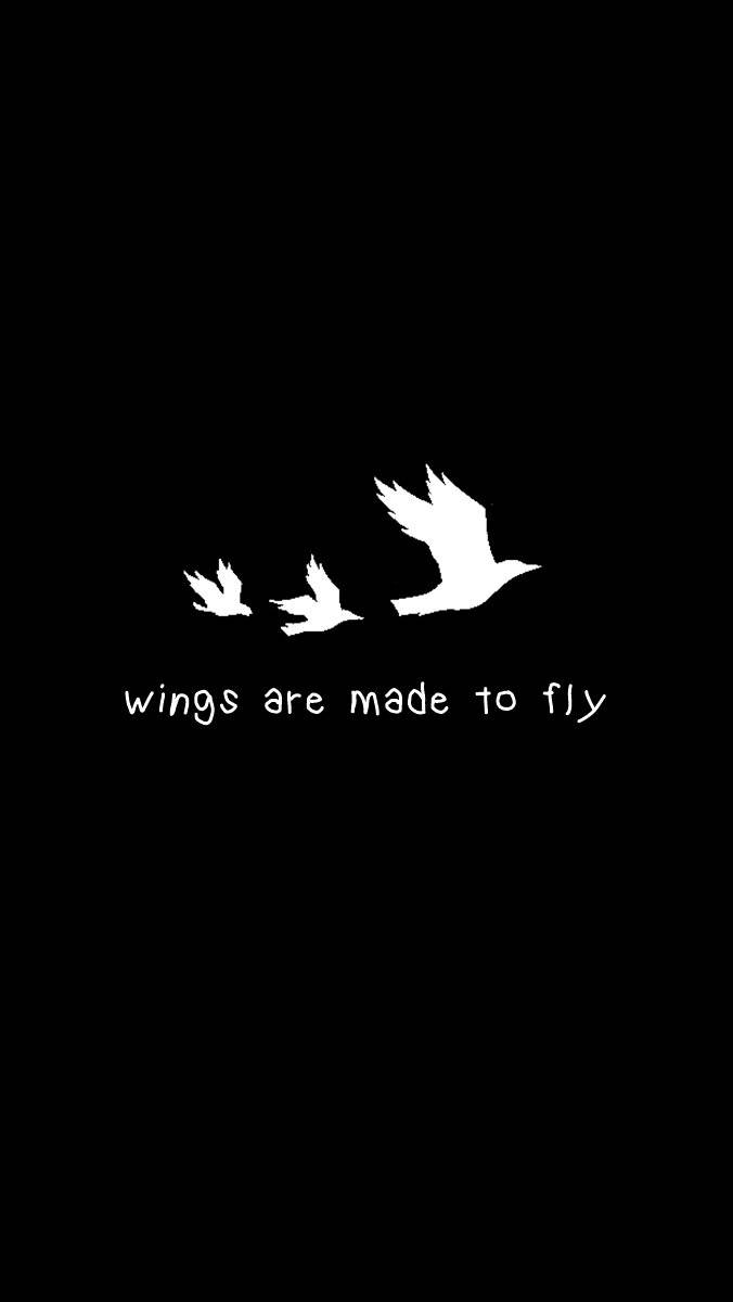 Bts Black, white bird silhouettes, black background, SD Phone Wallpaper