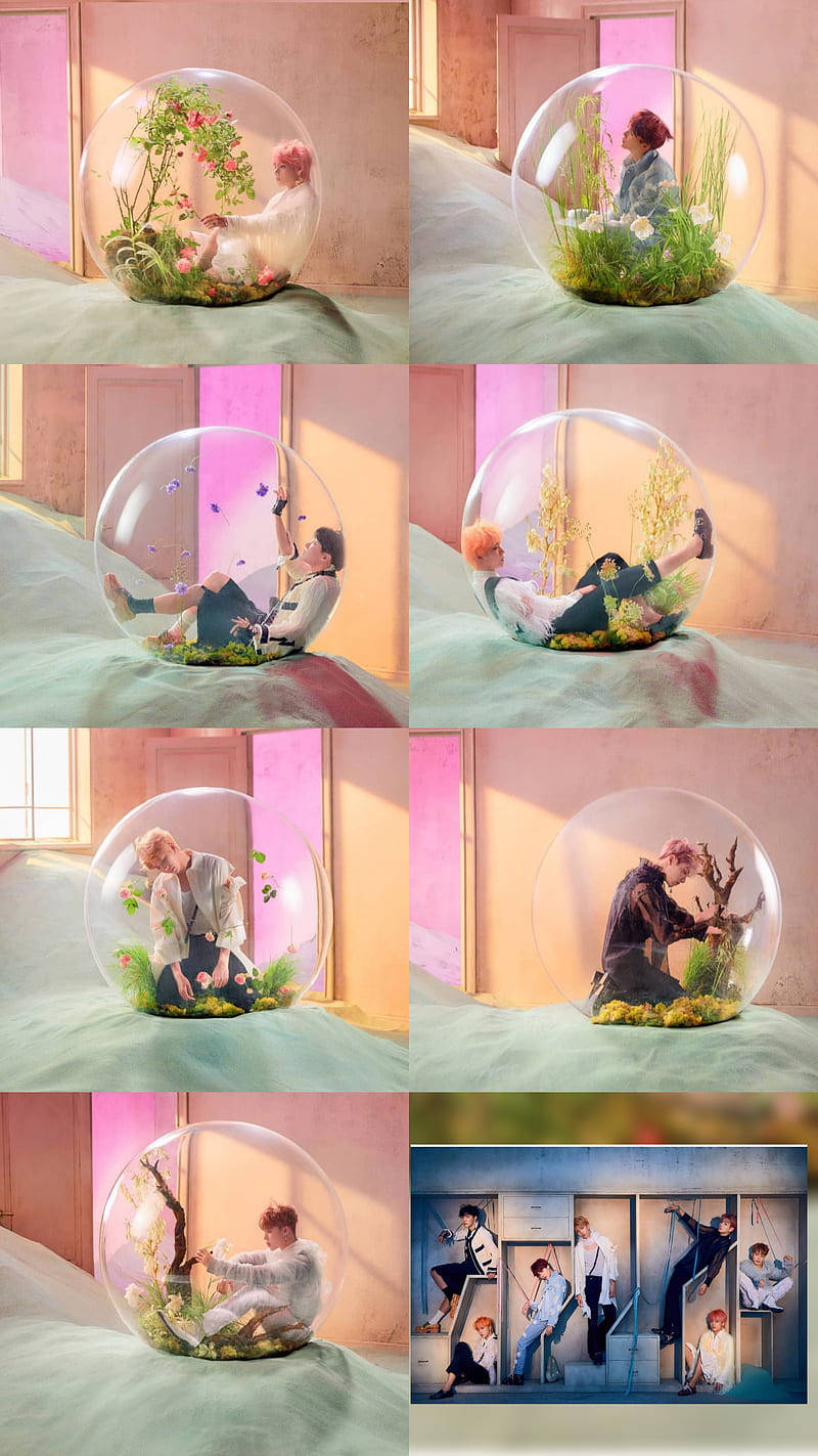 BTS, glass spheres, plants and flowers, HD Phone Wallpaper