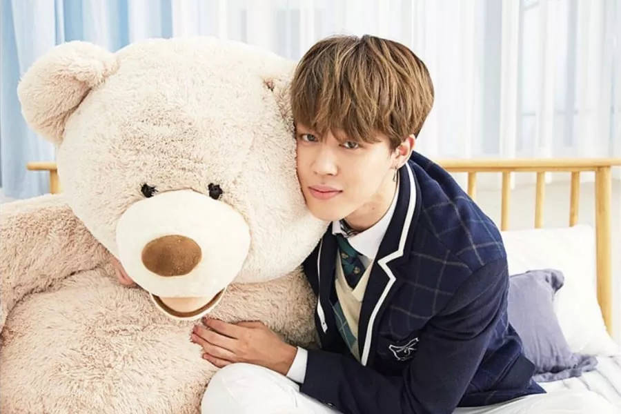 BTS Jimin, school uniform, giant fluffy teddy bear, SD Desktop Wallpaper