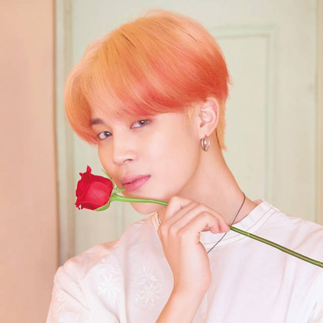 BTS Jimin, vibrant orange hair, red rose, SD Desktop Wallpaper