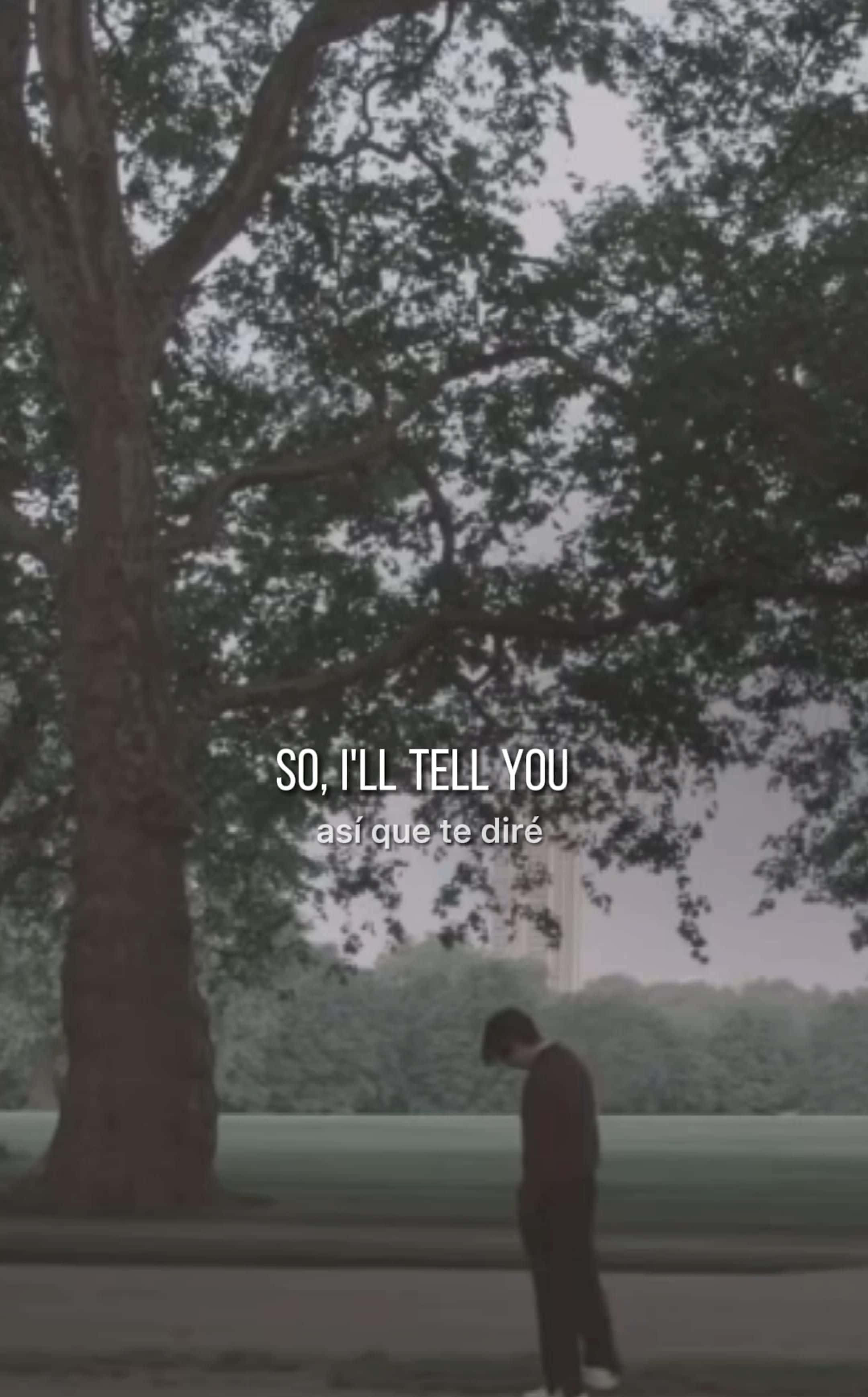 BTS Lyrics, large tree, park, 2K Phone Wallpaper