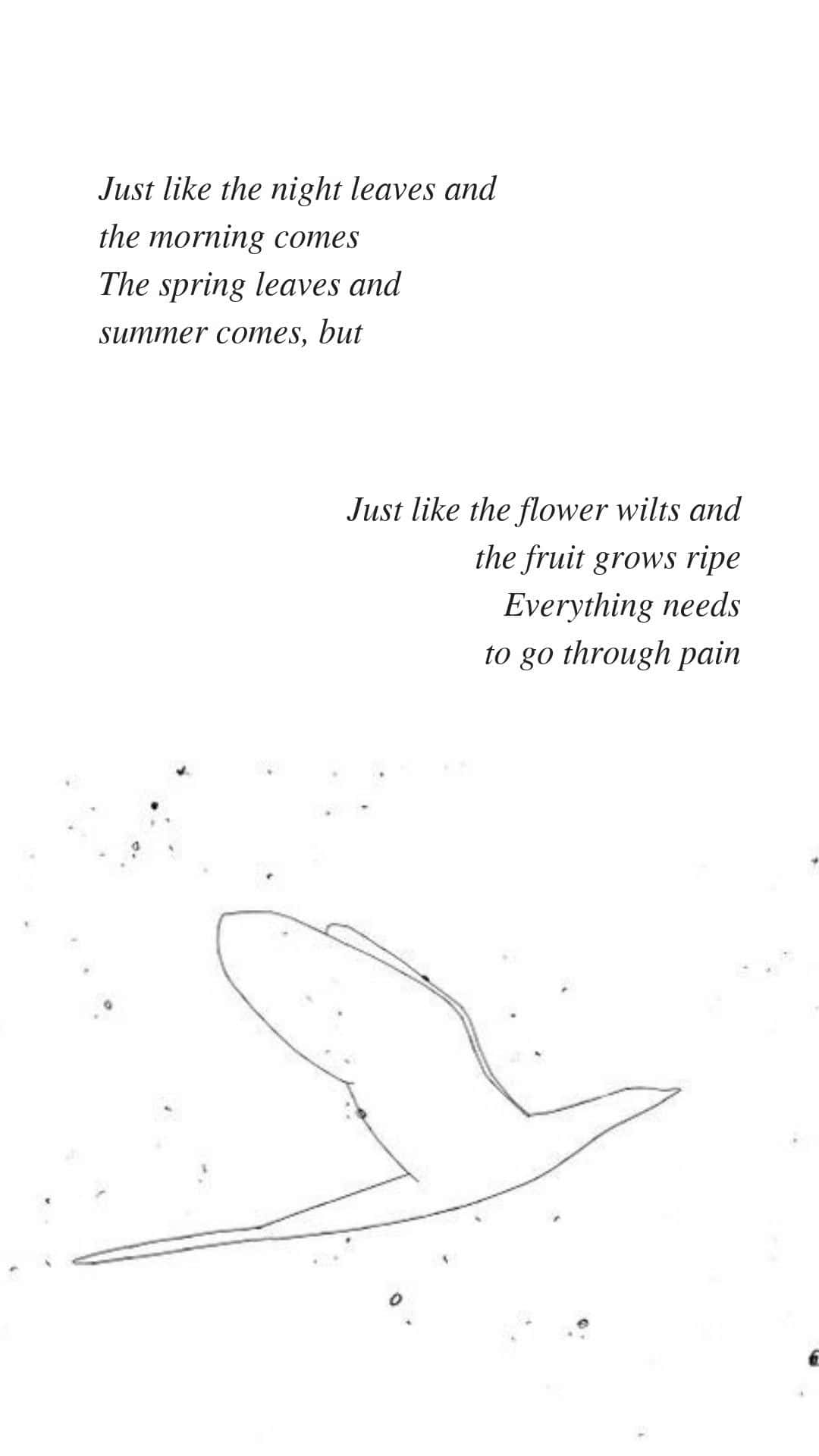 BTS Lyrics, minimalist line drawing, bird in flight, Full HD Phone Wallpaper
